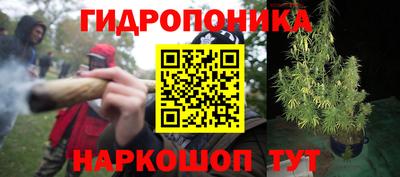 гашишное масло Гусев