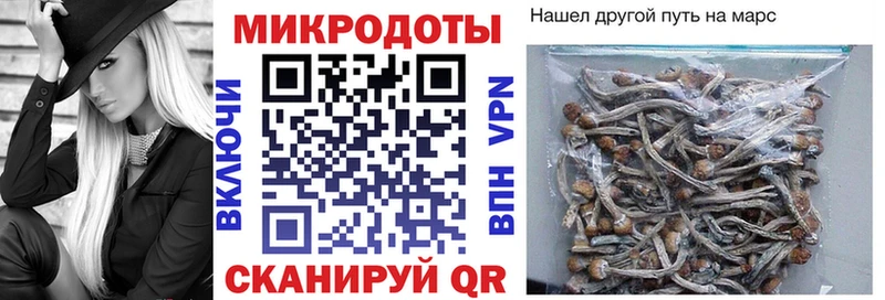 Галлюциногенные грибы MAGIC MUSHROOMS  дарнет шоп  Нефтекумск 