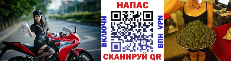 МАРИХУАНА конопля Нефтекумск