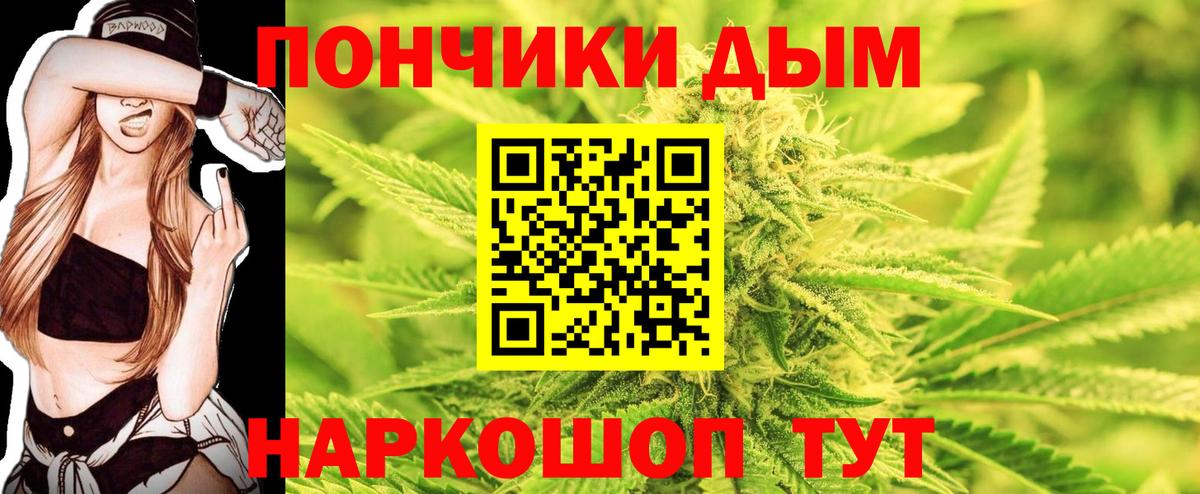 Каннабис планчик Нефтекумск